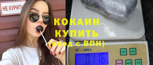 тгк Алексин