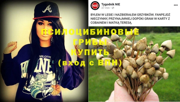 прущая мука Абинск