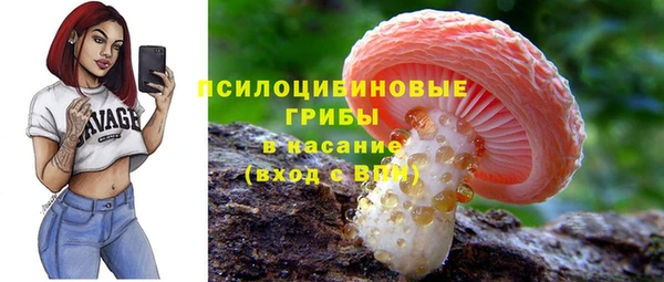 гашиш Абаза