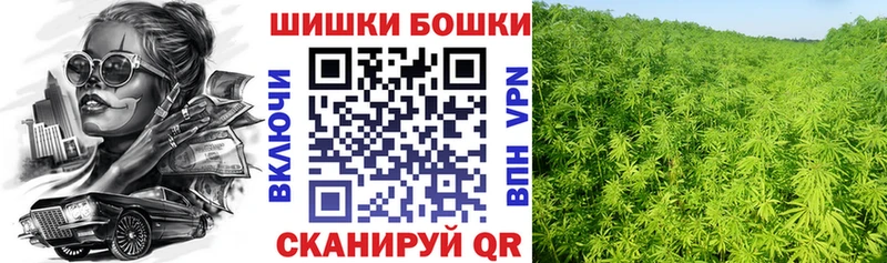 Бошки Шишки Bruce Banner Томари